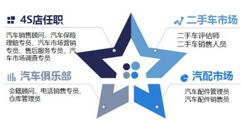 汽車營銷與服務專業(yè) 技術開發(fā)方向