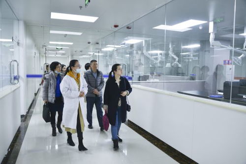 審計署長沙特派辦積極關注高新技術服務等重大建設項目進展情況